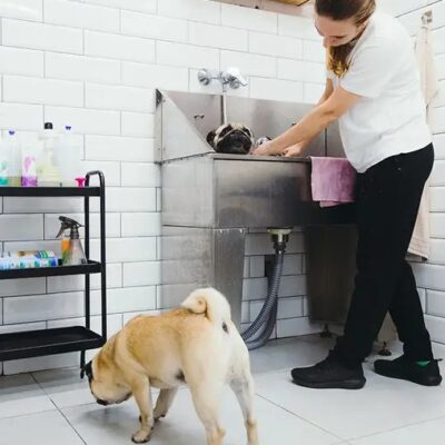 How To Start A Small Business